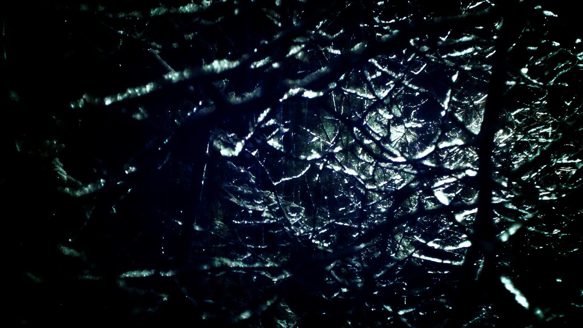 _国际合作赛事:多国选手共绘体育盛宴_,国际体育比赛视频