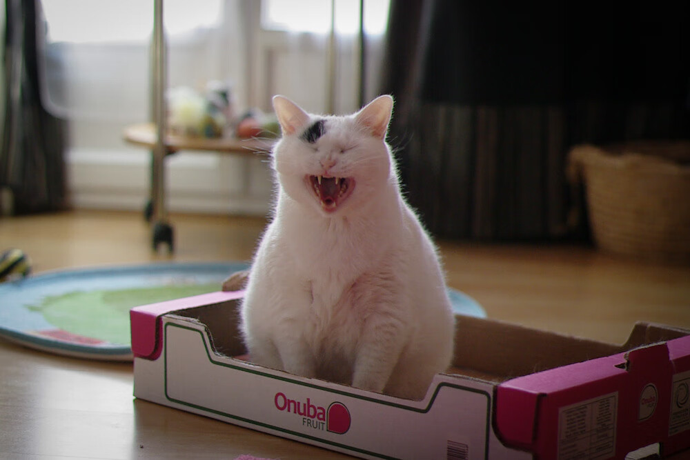 -_户外水上漂流：自然探险的极致体验_，水上户外用品