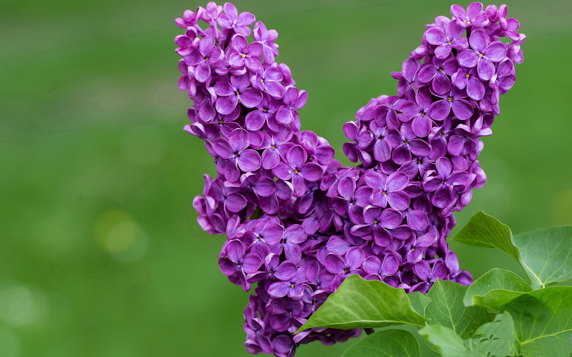 水平参差不齐：裁判判罚引发球迷强烈不满，水平参差不齐英文