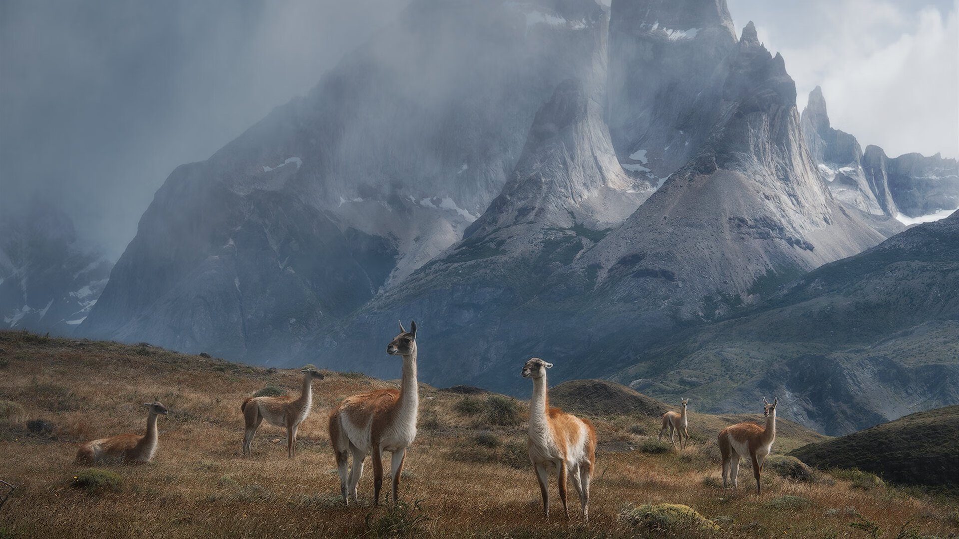 九游娱乐官网 (jiuyou)-特色篮球主题公园成为城市文化旅游新热点，篮球公园名称