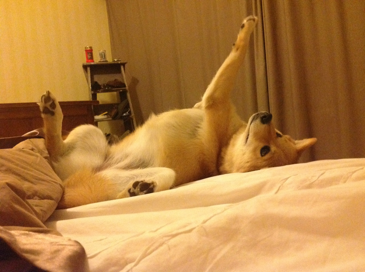 顶级战队的秘密训练营:探索背后的策略与纪律,lol秘密战队