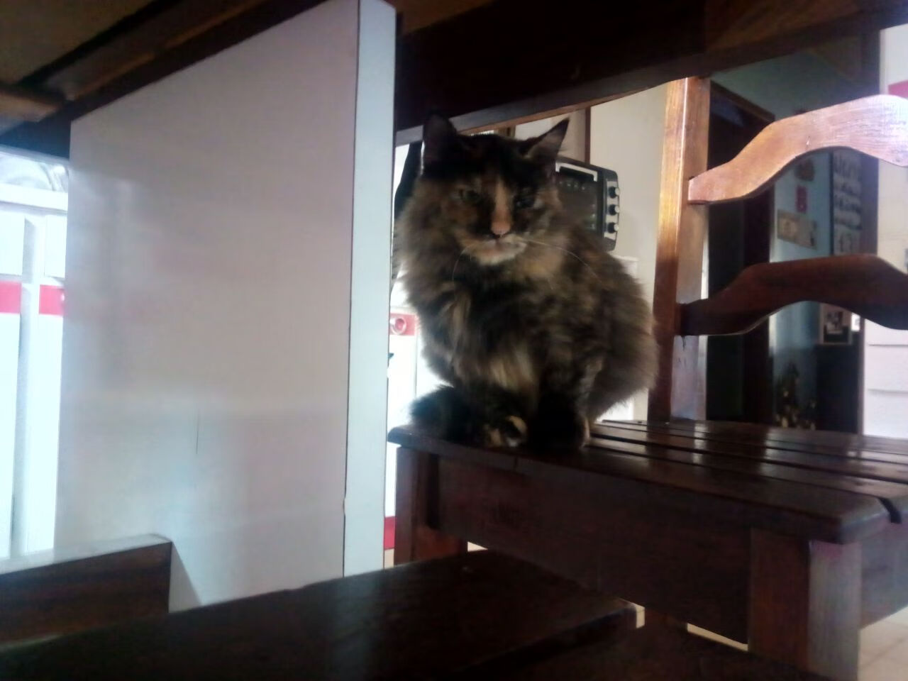 九游APP官网-厄瓜多尔女足力拔头筹，实力备受认可，厄瓜多尔足球队员