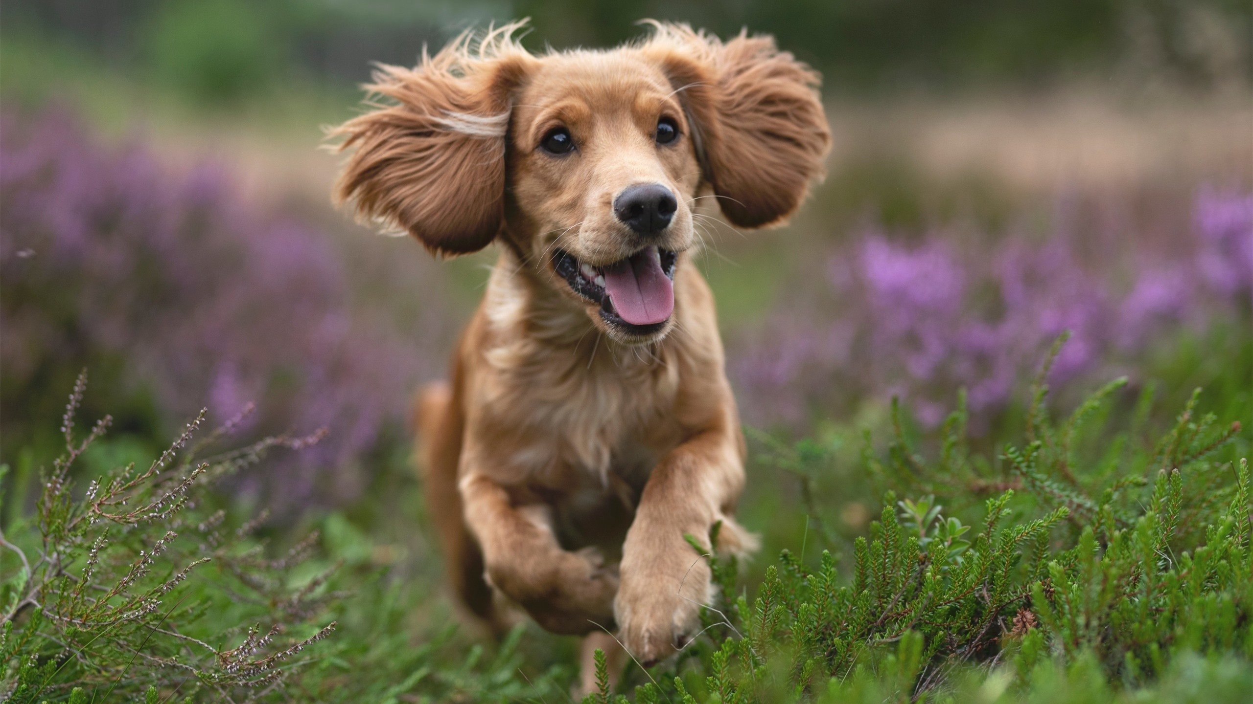 国足阵容深度增加,竞争力增强,国足2022阵容