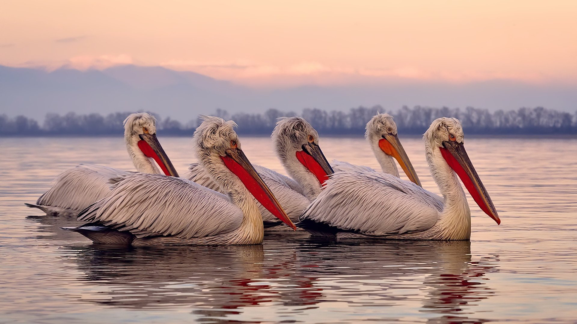 广东宏远球队替补席贡献日益显著,广东宏远球队阵容