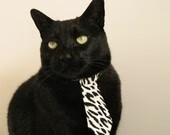 快船预计主力球员将缺席下一场比赛,球队备战困难,快船队消息