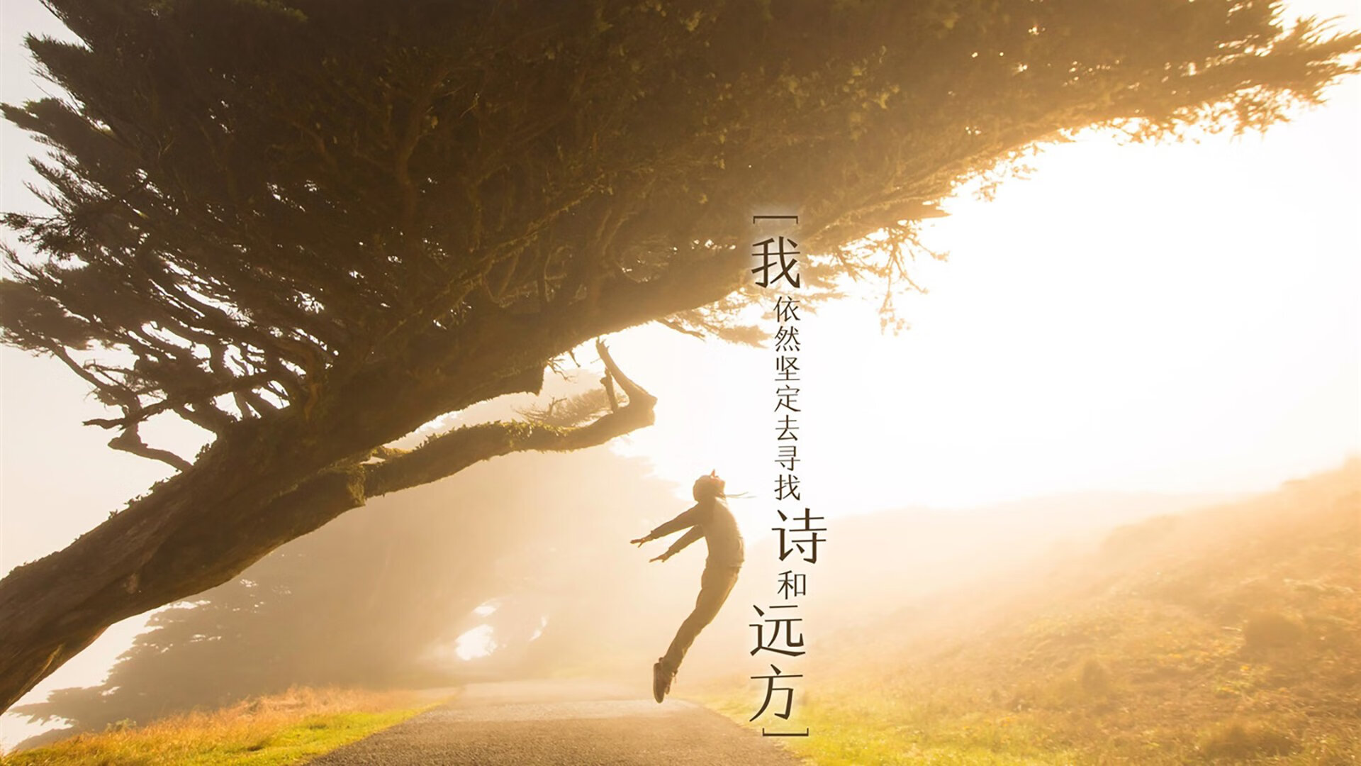 九游(jiuyou)官方网站-甜瓜再猛，尼克斯再度成为篮球舞台焦点，cba尼克斯