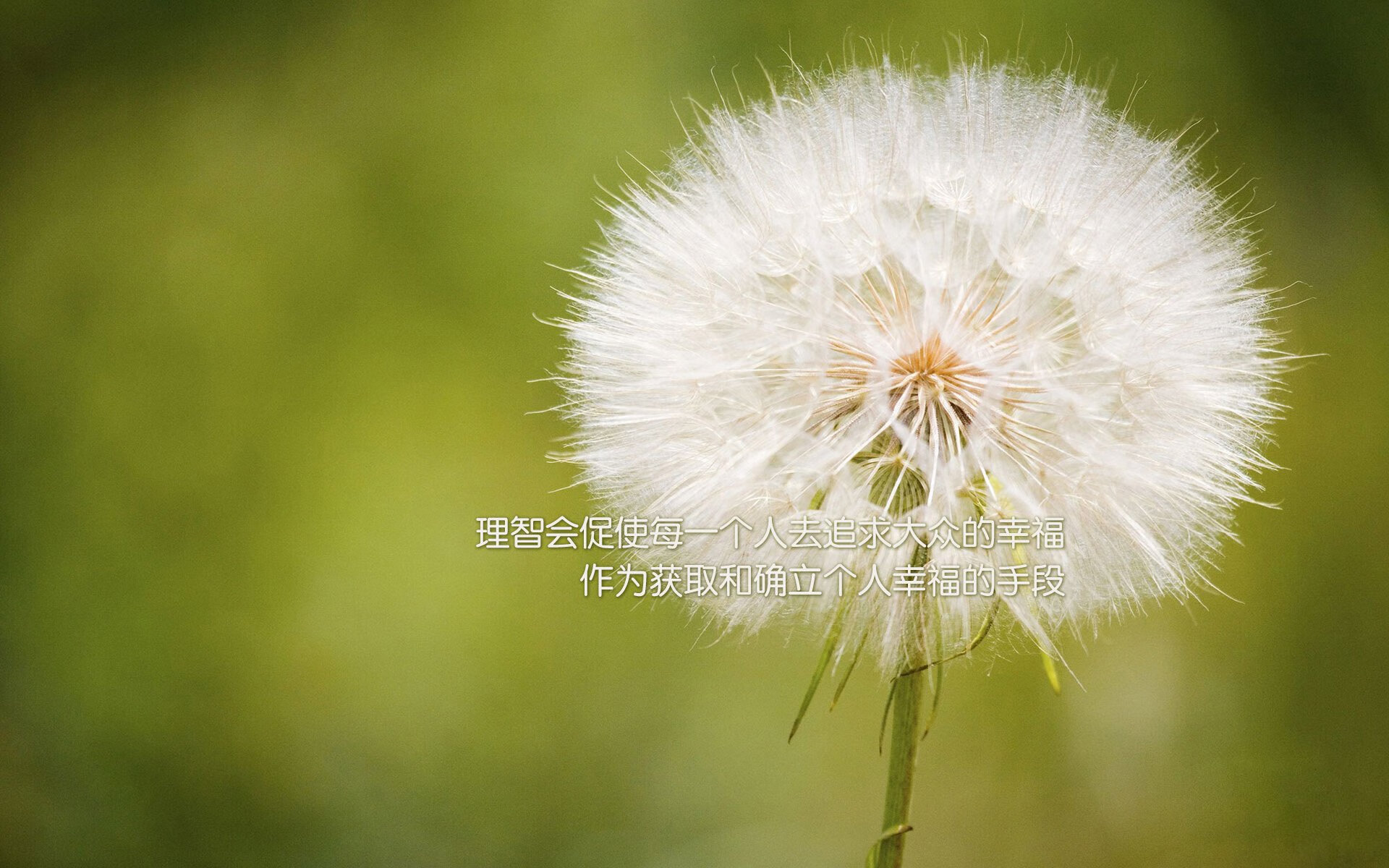 九游下载中心-马其顿主场平局，出线形势仍有希望，马其顿足球战绩