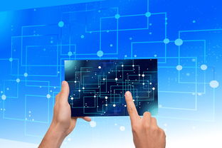 九游下载官网-中国篮球青训体系教练员能力评估与发展规划，篮球教练员素养