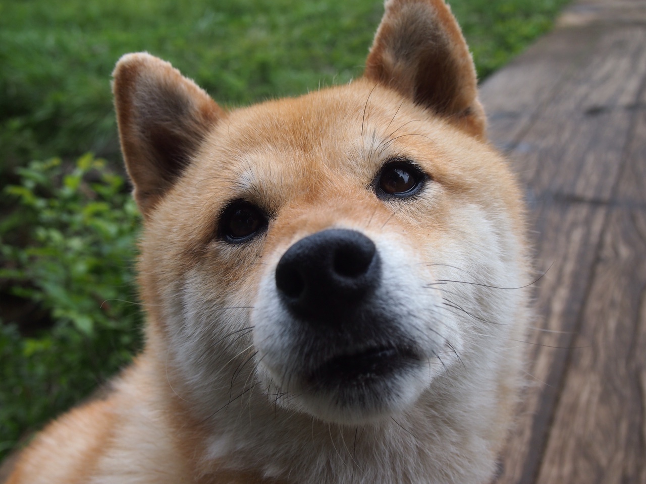 中国男篮培养复合型球员提升战术弹性,中国男篮复古球衣