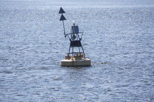 九游sports-中方蝶泳入水角度更锐利？图解数据分析，中国蝶泳厉害吗