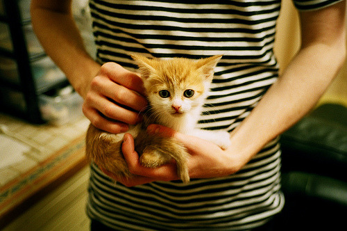 女子200蝶划频–划幅关系曲线