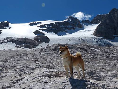 职业球员体能与技术训练脱节，职业球员训练项目