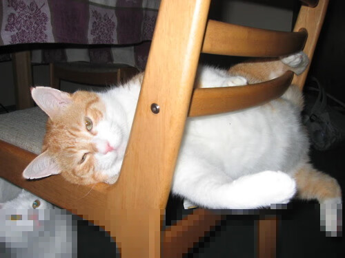 乌干达男篮在非洲大赛中崭露头角，体育精神无限