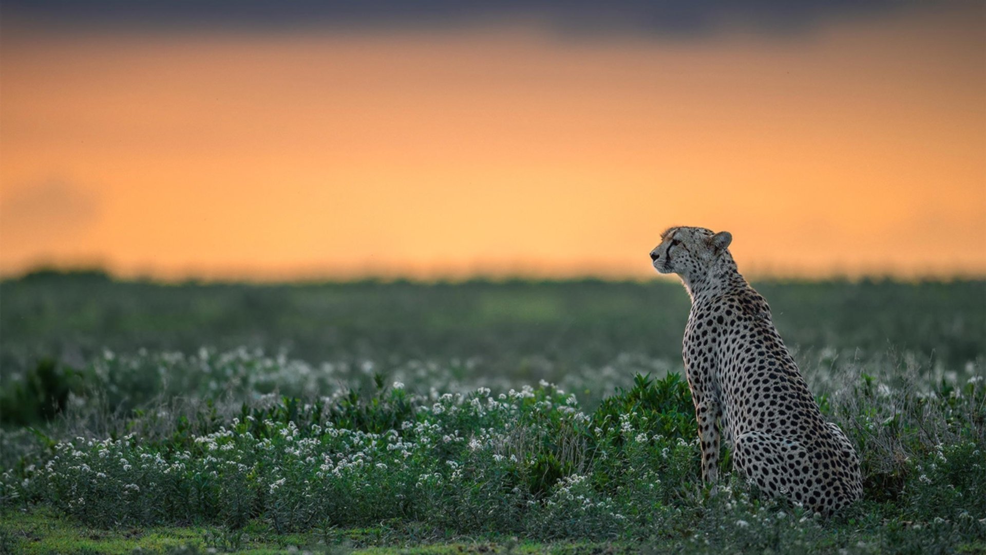 李娜表示未来可能执教青少年队伍,李娜老师资料