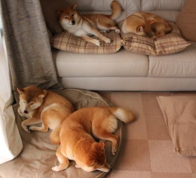 贝尔哈德·福特:通过全能表现,成为全黑队战术调整的核心,贝尔福特vs丹亨德森