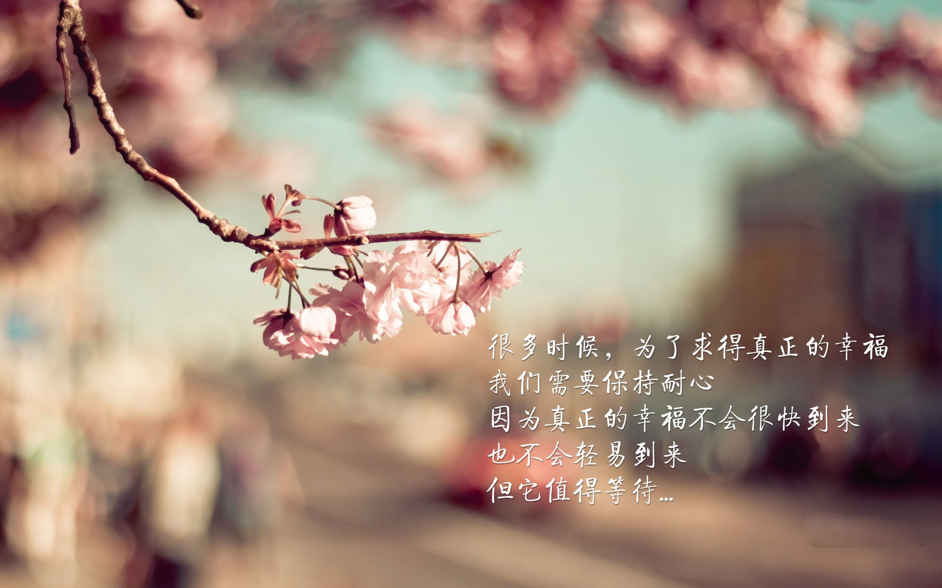 跳水动作难度升级南非队再创新高,fina跳水系列赛赛程