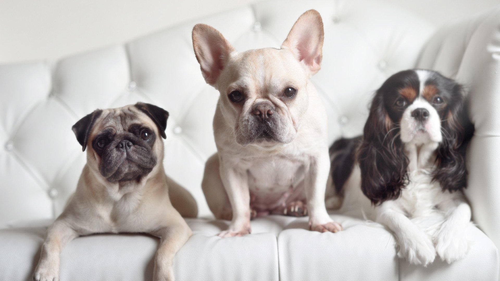 九游游戏中心-青训球员通过模拟赛制训练更快融入职业比赛节奏，青训模式