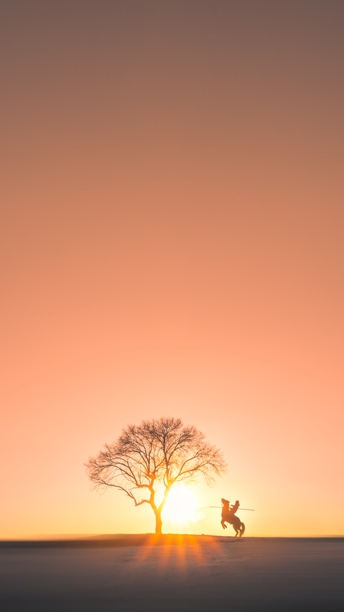 九游娱乐APP-高台跳水选手动作协调 稳定性佳，高台跳水动作名称